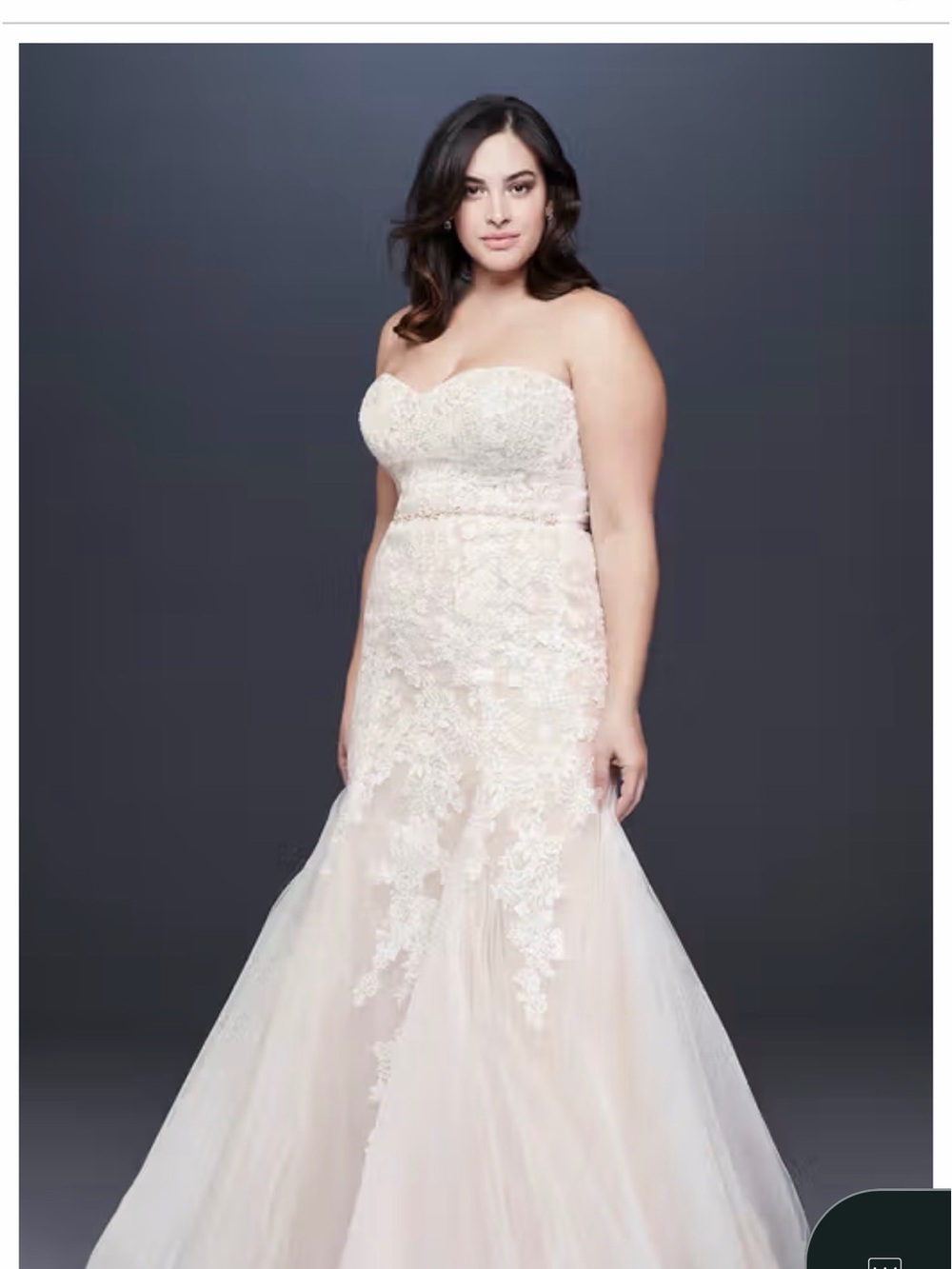 NWT Davids Bridal Wedding Dress